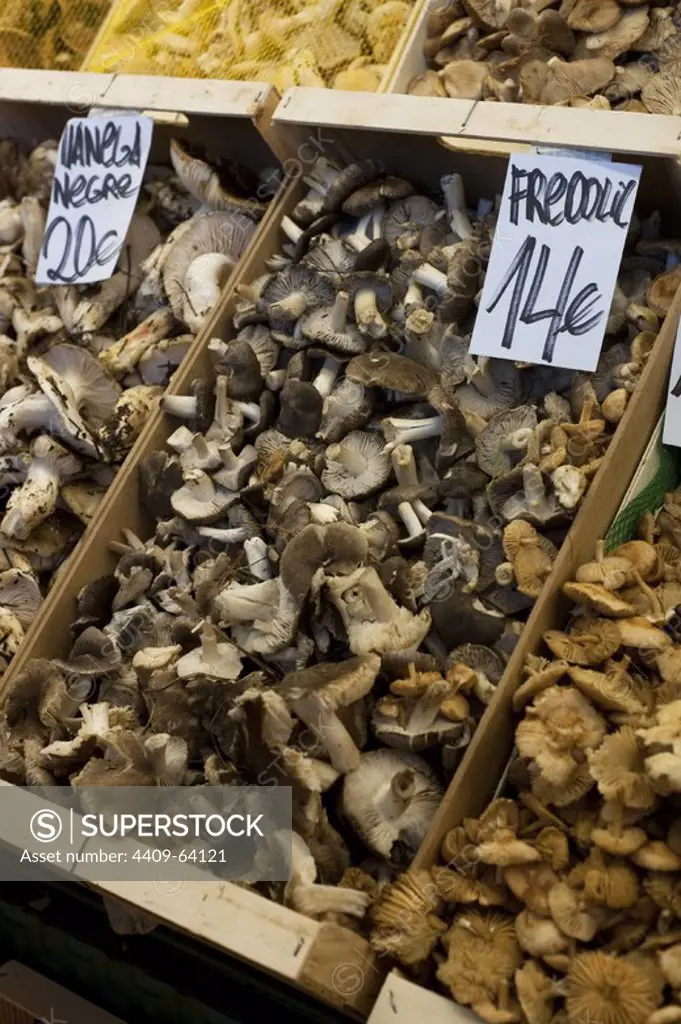 Mushrooms stand, Boqueria market in Barcelona.