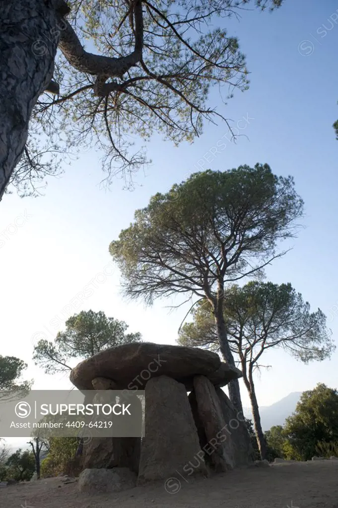 Dolmen "La Pedra Gentil". Neolítico.Vallgorguina. Barcelona.