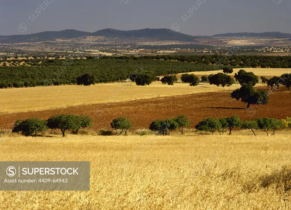 Spain, Extremadura, Badajoz province, La Serena region. Landscape of the Valle de la Serena in the surroundings of La Nava.