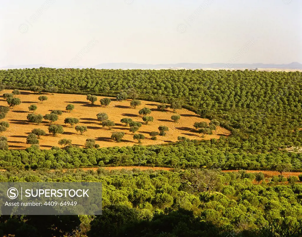 Spain, Extremadura, Badajoz province. Panoramic view of the landscape of La Serena region, towards Puerto de La Nava.