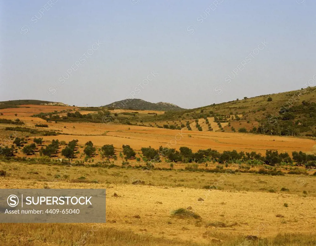 EXTREMADURA. Panorámica del paisaje en los alrededores de la localidad de Valle de la Serena. Comarca de la Serena. Provincia de Badajoz. España.