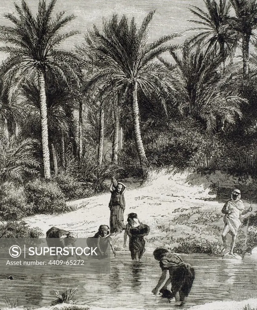 HISTORIA DE LOS ARABES. Jardines de Kafsa y río Baiech. Grabado del s. XIX, obra de Girardel.