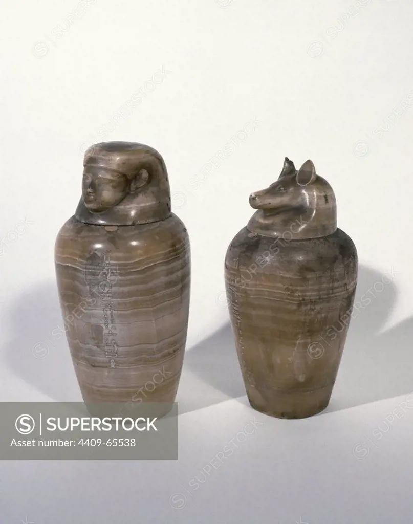 Egyptian Art. Canopic jars. Used by the egyptians during the mummification to preserve the viscera. It represents god Duamutef (jackal head) and god Imset (human head). 31st Dynasty. Initial Late Period. Second Egyptian Satrapy. Memphis. Egypt.