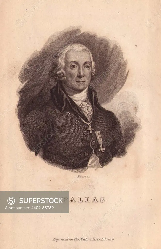 Peter Simon Pallas (1741-1811), German zoologist and botanist.. Portrait engraved on steel by W.H. Lizars, from Sir William Jardine's "The Naturalist's Library" 1833, Edinburgh.