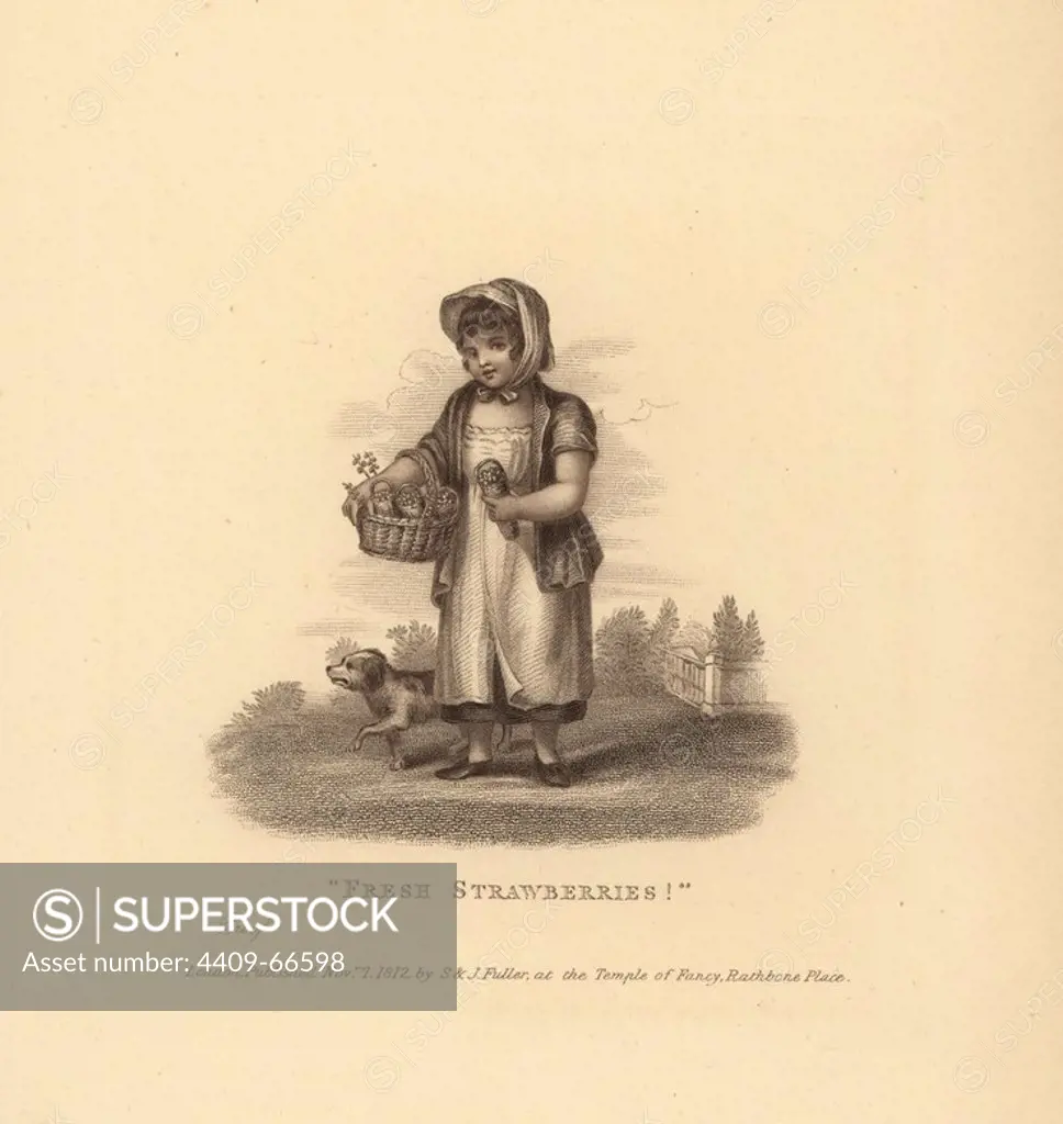 Young girl in bonnet with a basket of strawberries accompanied by a small dog. Stipple copperplate engraving in the style of Francesco Bartolozzi (1725-1815) from Andrew Tuer's "London Cries: with Six Charming Children and about forty other illustrations," published by Field & Tuer, London, 1883.