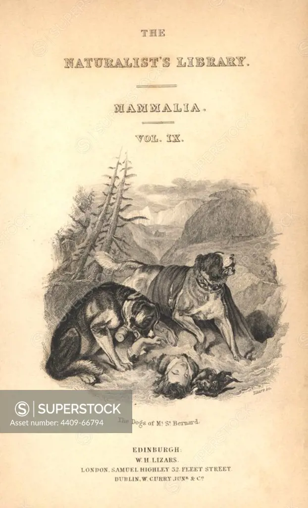 Title page with vignette of St. Bernard dogs beside an unconscious man. Engraving on steel by William Lizars from a drawing by Colonel Charles Hamilton Smith from Sir William Jardine's "Naturalist's Library: Dogs" published by W. H. Lizars, Edinburgh, 1839.