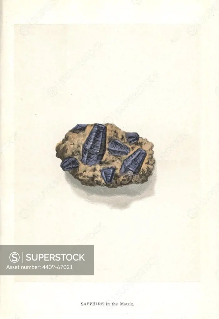 Sapphire in the matrix. Chromolithograph by an unknown artist from Edwin Streeter's "Precious Stones and Gems," London, George Bell & Sons, 1892. Streeter was a famous Victorian jeweller with a shop in London, and author of several books on precious stones.