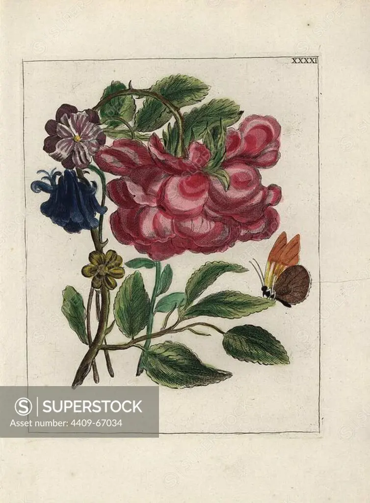 Rose, Rosa provincialis, and columbine, Aquilegia vulgaris, with butterfly. Handcoloured copperplate botanical engraving from "Nederlandsch Bloemwerk" (Dutch Flower Arrangements), Amsterdam, J.B. Elwe, 1794. The artist of the fine plates is a mystery: the title bouquet has the signature of Paul Theodor van Brussel (1754-1795), the Dutch flower painter, and one auricula is "drawn from life" by A. Bres. According to Hunt, 30 plates show the influence of the famous French artist Nicolas Robert (1614-1685).