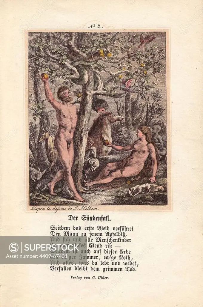 The Fall: Eve has just received the forbidden fruit from the serpent, who is here, as well as in most ancient representations of the subject, depicted with a female human face. She holds it up to Adam, and entices him to gather more of it from the tree. Hand-coloured engraving by Chretien de Mechel from Hans Holbein's "The Triumph of Death," based on original drawings by Peter Paul Rubens, 1860.