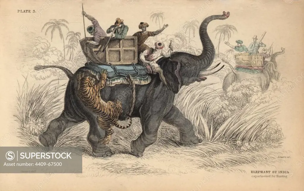 Indian elephant (endangered) with European hunter and native guides attacked by a Bengal tiger (endangered). Handcoloured engraving on steel by William Lizars from a drawing by James Stewart from Sir William Jardine's "Naturalist's Library: Mammalia, Pachydermes or Thick-Skinned Quadrupeds" published by W. H. Lizars, Edinburgh, 1836.