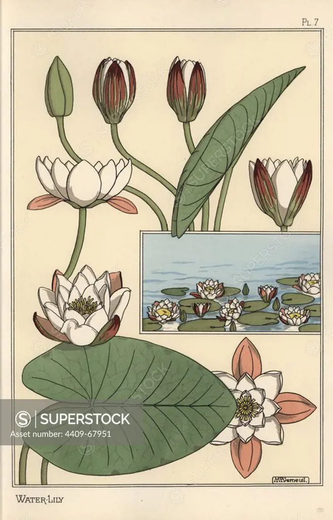 The water lily, Nelumbo lutea, and flower parts. Lithograph by Verneuil with pochoir (stencil) handcoloring from Eugene Grasset's Plants and their Application to Ornament, Paris, 1897. Grasset (1841-1917) was a Swiss artist whose innovative designs inspired the art nouveau movement at the end of the 19th century.