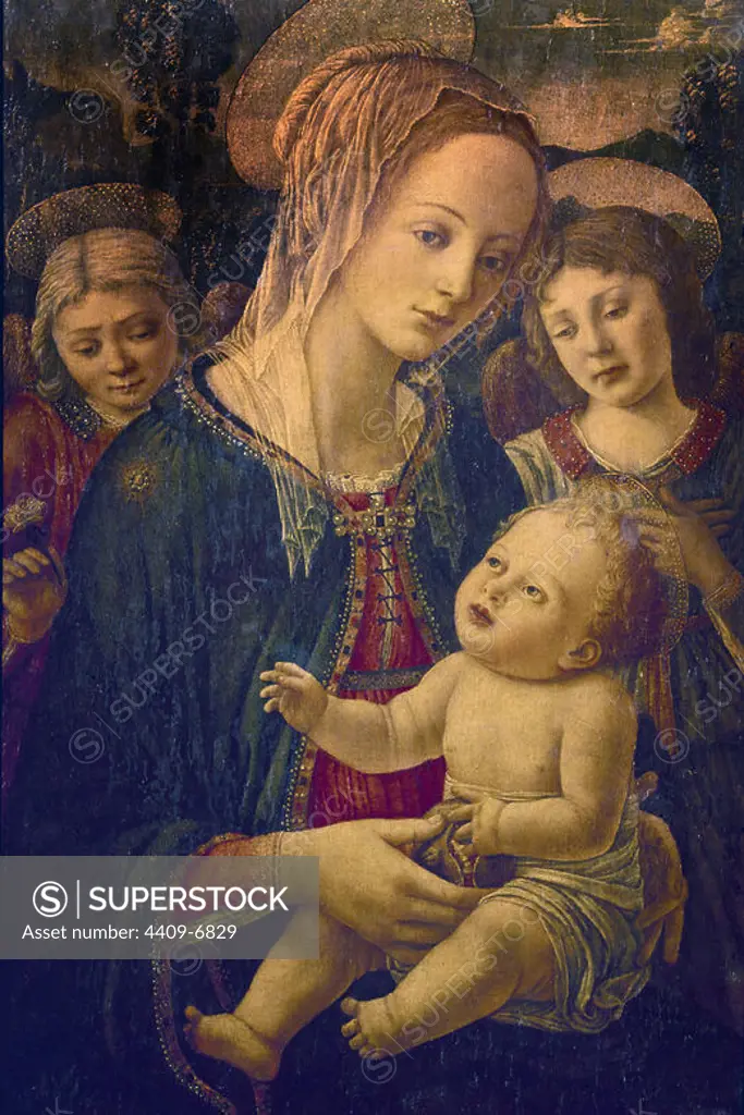 Madonna with Child. Barcelona, Cambo Foundation. Author: Filippo Lippi. Location: FUNDACION CAMBO. Barcelona. SPAIN. CHILD JESUS. VIRGIN MARY.