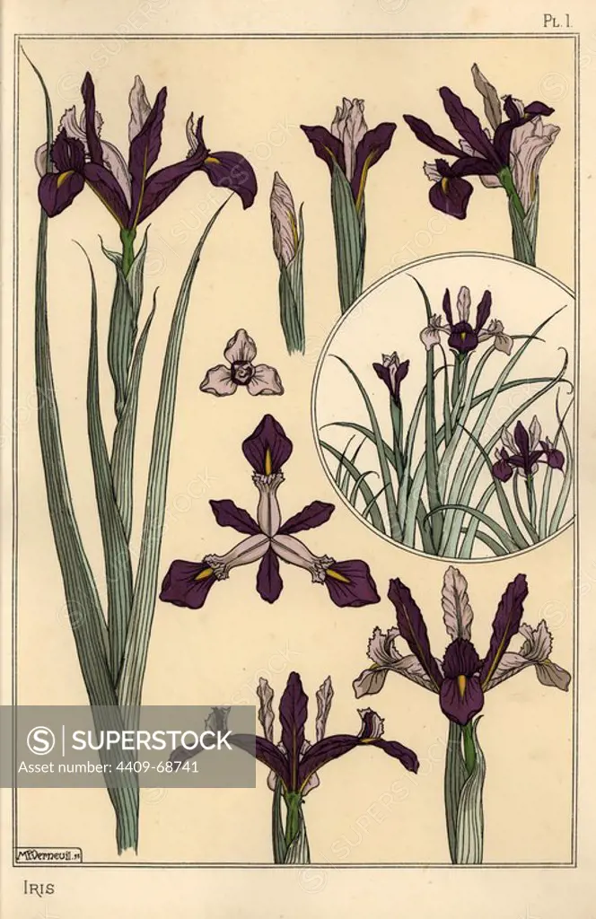 Iris plant and flower parts, with inset.. Lithograph by Verneuil with pochoir (stencil) handcoloring from Eugene Grasset's Plants and their Application to Ornament, Paris, 1897. Eugene Grasset (1841-1917) was a Swiss artist whose innovative designs inspired the art nouveau movement at the end of the 19th century.