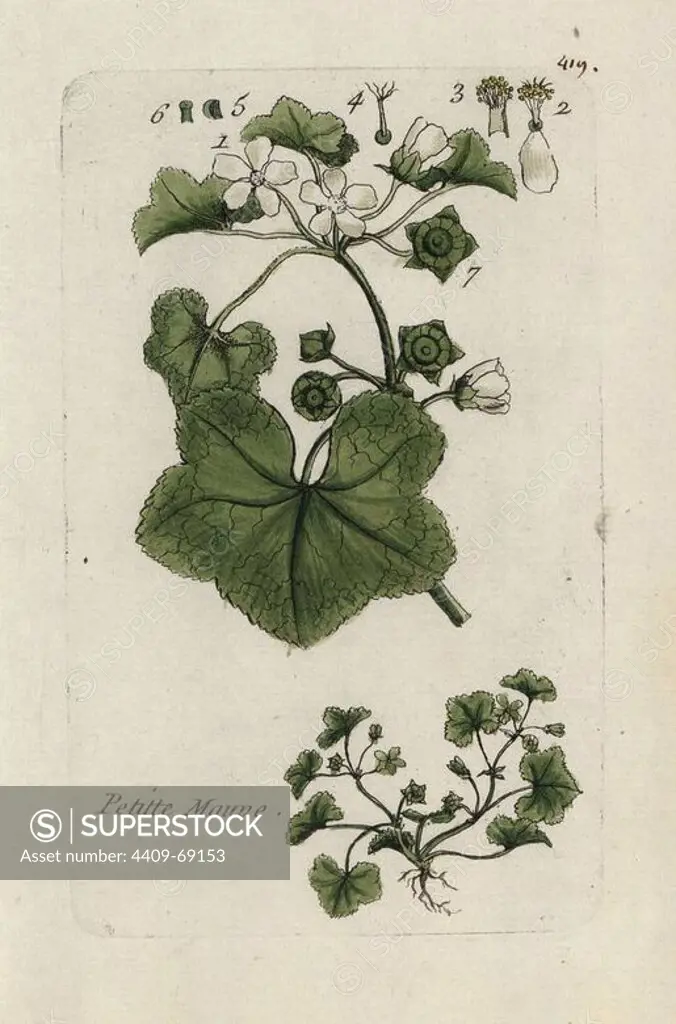 Dwarf mallow, Malva rotundifolia. Handcoloured botanical drawn and engraved by Pierre Bulliard from his own "Flora Parisiensis," 1776, Paris, P. F. Didot. Pierre Bulliard (1752-1793) was a famous French botanist who pioneered the three-colour-plate printing technique. His introduction to the flowers of Paris included 640 plants.
