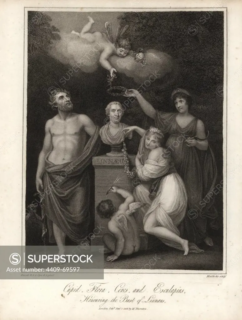 Cupid, Flora, Ceres and Esculapius honouring the bust of Linnaeus.. Stipple engraving by Maddochs from a painting by Russell and Opie from Dr. Robert John Thornton's "Temple of Flora," 1812, Lottery or quarto edition. The illustrations were a mix of aquatint, mezzotint and stipple engravings finished by hand. Dr. Thornton (1768-1837) was a botanist and publisher who bankrupted himself producing what is now regarded as the greatest English botanical book.
