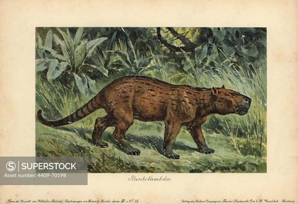 Pantolambda, an extinct genus of Paleocene pantodont mammal. Colour printed (chromolithograph) illustration by Heinrich Harder from "Tiere der Urwelt" Animals of the Prehistoric World, 1916, Hamburg. Heinrich Harder (1858-1935) was a German landscape artist and book illustrator. From a series of prehistoric creature cards published by the Reichardt Cocoa company. Natural historian Wilhelm Bolsche wrote the descriptive text.
