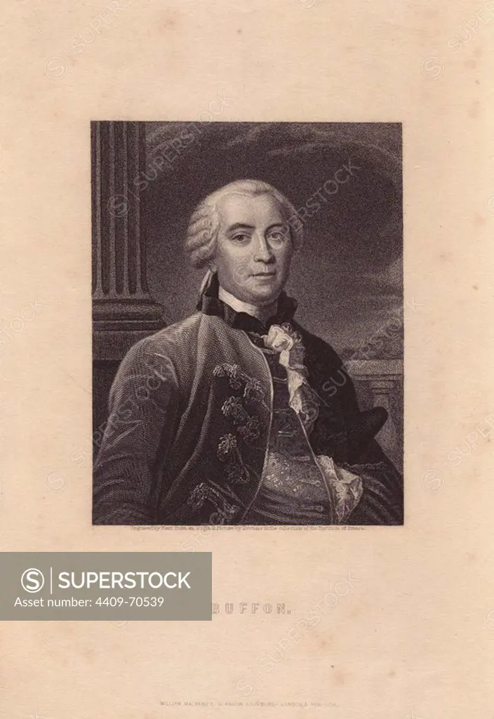 Georges-Louis Leclerc, Comte de Buffon (17071788), French naturalist, mathematician, cosmologist and author.. Portrait engraved on steel by Hart from an original painting by Francois Hubert Drouais, from Charles Knight's "Gallery of Portraits" 1835.