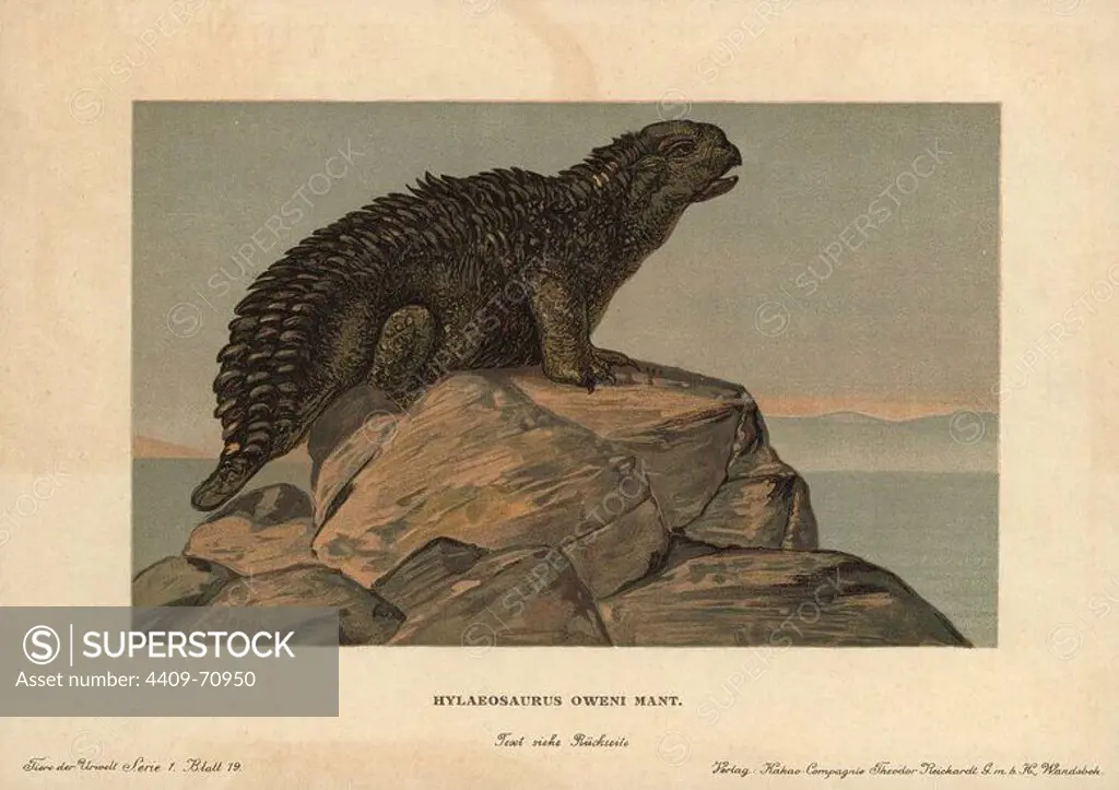 Hylaeosaurus, extinct genus of herbivore from the Cretaceous. Colour printed (chromolithograph) illustration by F. John from "Tiere der Urwelt" Animals of the Prehistoric World, 1910, Hamburg. From a series of prehistoric creature cards published by the Reichardt Cocoa company.