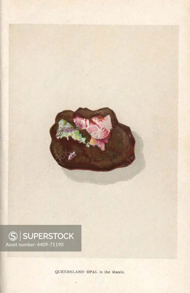 Queensland opal in the matrix. Chromolithograph by an unknown artist from Edwin Streeter's "Precious Stones and Gems," London, George Bell & Sons, 1892. Streeter was a famous Victorian jeweller with a shop in London, and author of several books on precious stones.