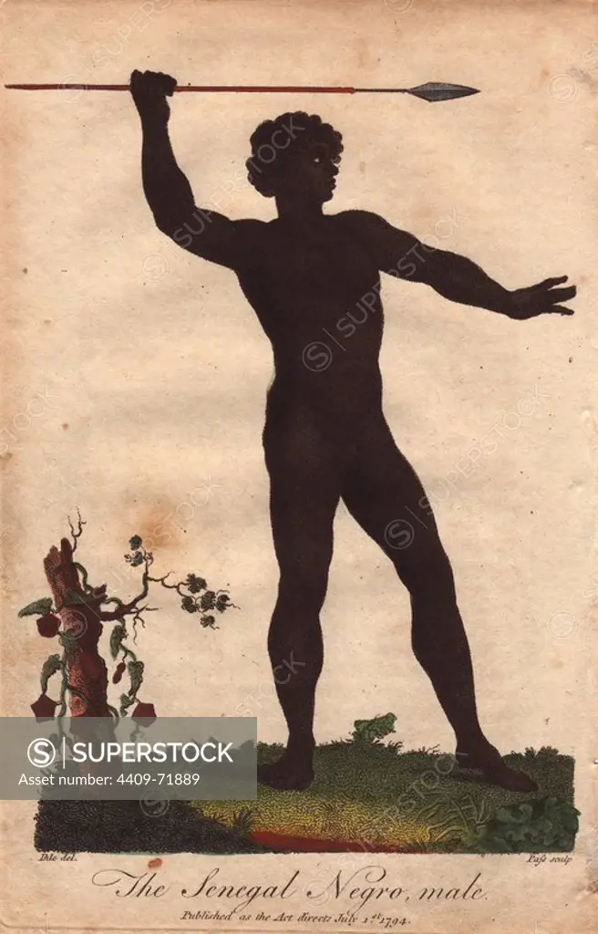 "The Senegal Negro, male" Senegalese man holding a spear.. Hand-colored copperplate engraving from a drawing by Johann Ihle from Ebenezer Sibly's "Universal System of Natural History" 1794. The prolific Sibly published his Universal System of Natural History in 1794~1796 in five volumes covering the three natural worlds of fauna, flora and geology. The series included illustrations of mythical beasts such as the sukotyro and the mermaid, and depicted sloths sitting on the ground (instead of hanging from trees) and a domesticated female orang utan wearing a bandana. The engravings were by J. Pass, J. Chapman and Barlow copied from original drawings by famous natural history artists George Edwards, Albertus Seba, Maria Sybilla Merian, and Johann Ihle.