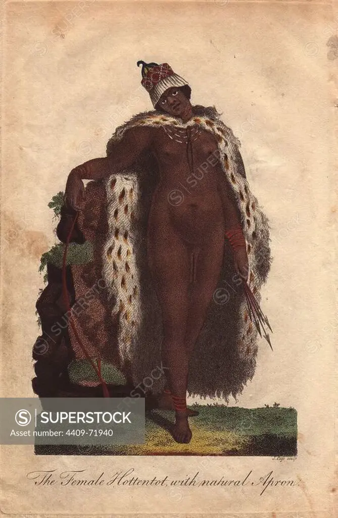 "The Female Hottentot with natural Apron" A Khoisan woman with elongated labia that so fascinated Europeans. She wears a hat, animal skin, necklace, and bracelets, and carries a bow and arrows.. Hand-colored copperplate engraving from a drawing by Johann Ihle from Ebenezer Sibly's "Universal System of Natural History" 1794. The prolific Sibly published his Universal System of Natural History in 1794~1796 in five volumes covering the three natural worlds of fauna, flora and geology. The series included illustrations of mythical beasts such as the sukotyro and the mermaid, and depicted sloths sitting on the ground (instead of hanging from trees) and a domesticated female orang utan wearing a bandana. The engravings were by J. Pass, J. Chapman and Barlow copied from original drawings by famous natural history artists George Edwards, Albertus Seba, Maria Sybilla Merian, and Johann Ihle. These volumes are extremely hard to find even with uncoloured plates, and very rare coloured. The hand-c