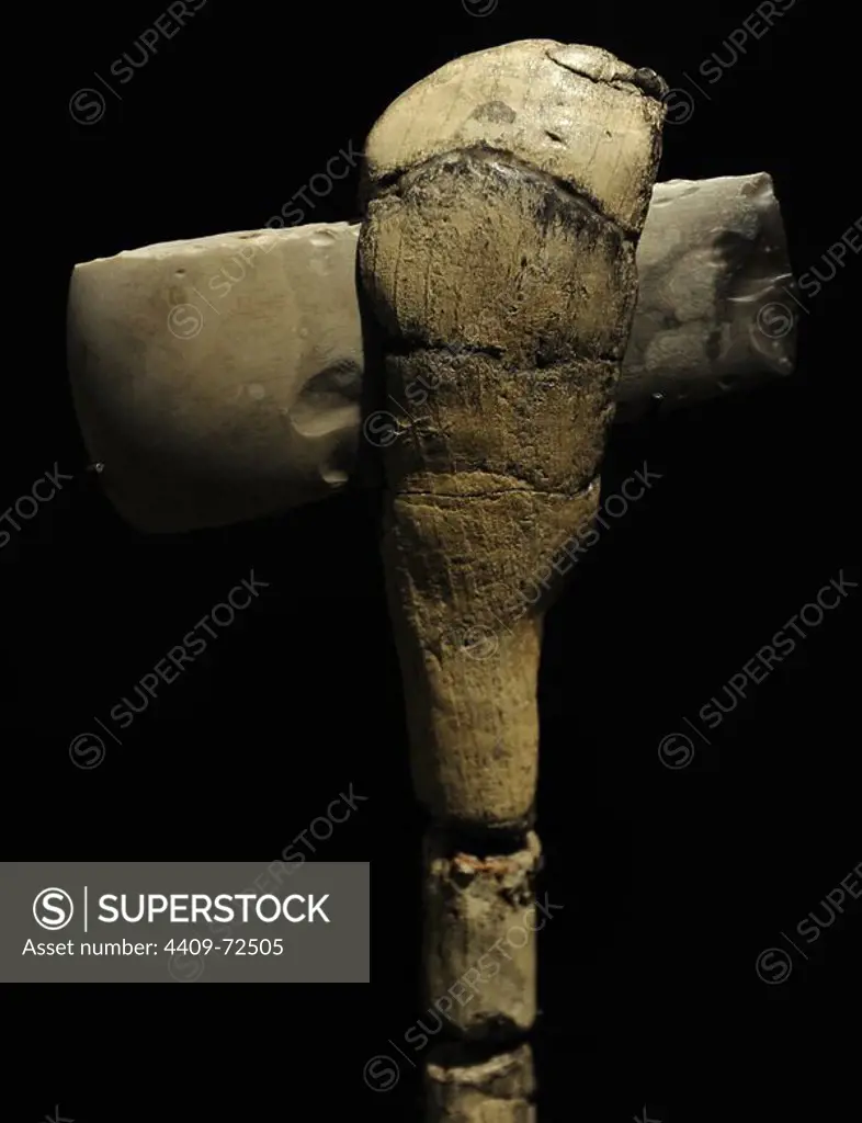 Flint axe on a helve of ash wood. 3100-3000 BC. From Sigerslev Mose, eastern Zealand. National Museum of Denmark. Copenhagen. Denmark.