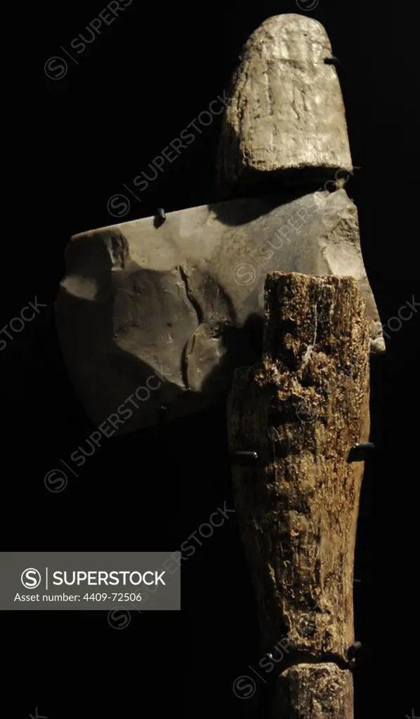 Flint axe on a helve of birch wood. 3600-3400 BC. From Arnakkegard, Western Zealand. National Museum of Denmark. Copenhagen. Denmark.