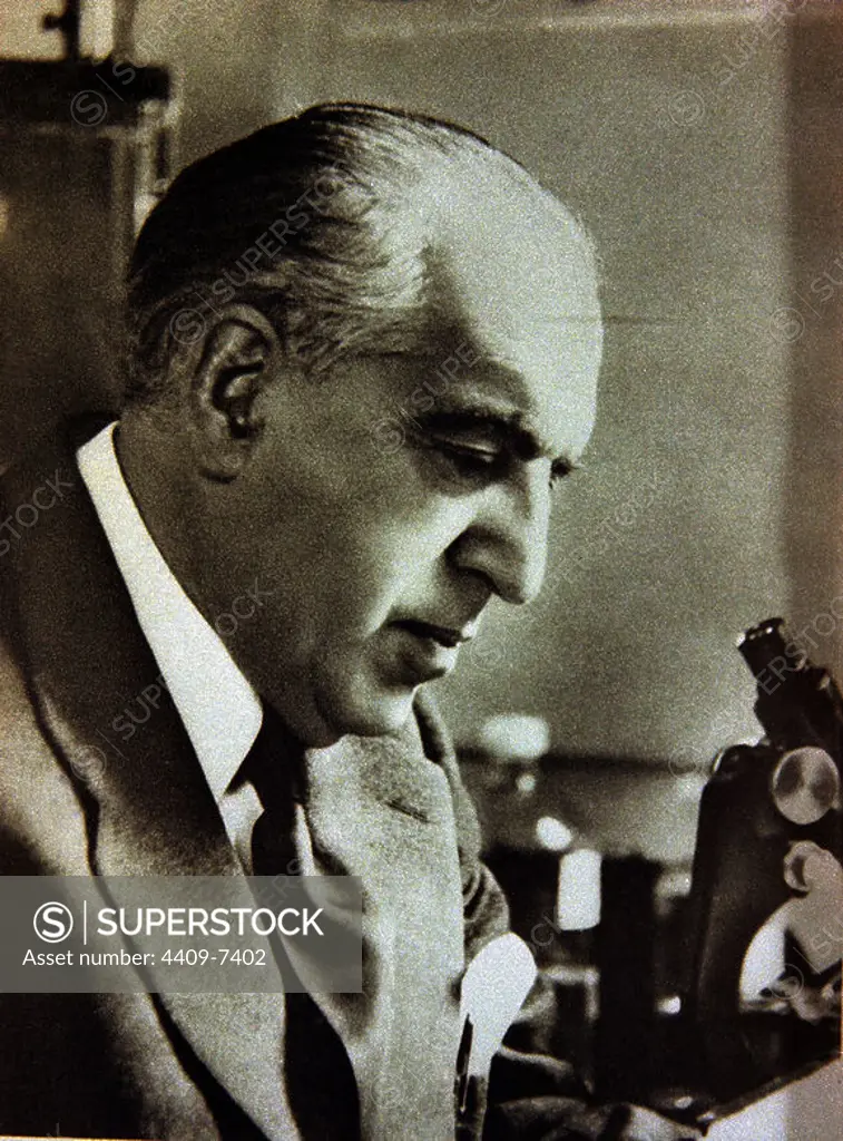 Gregorio Maranon (1887-1960), Spanish physician and writer, here in his laboratory.. March 1960. MARAÑON GREGORIO.