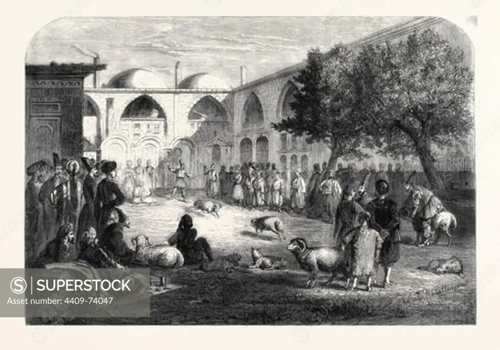 RAM-FIGHTING AT THE PERSIAN KHAN, CONSTANTINOPLE, 1866.