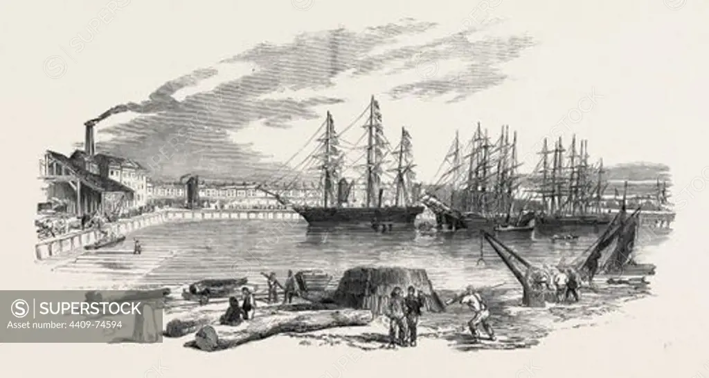 ARRIVAL OF THE "JOHN BOWES" SCREW STEAMER IN THE COLLIER DOCK OF THE EAST AND WEST INDIA DOCK RAILWAY, 1852.