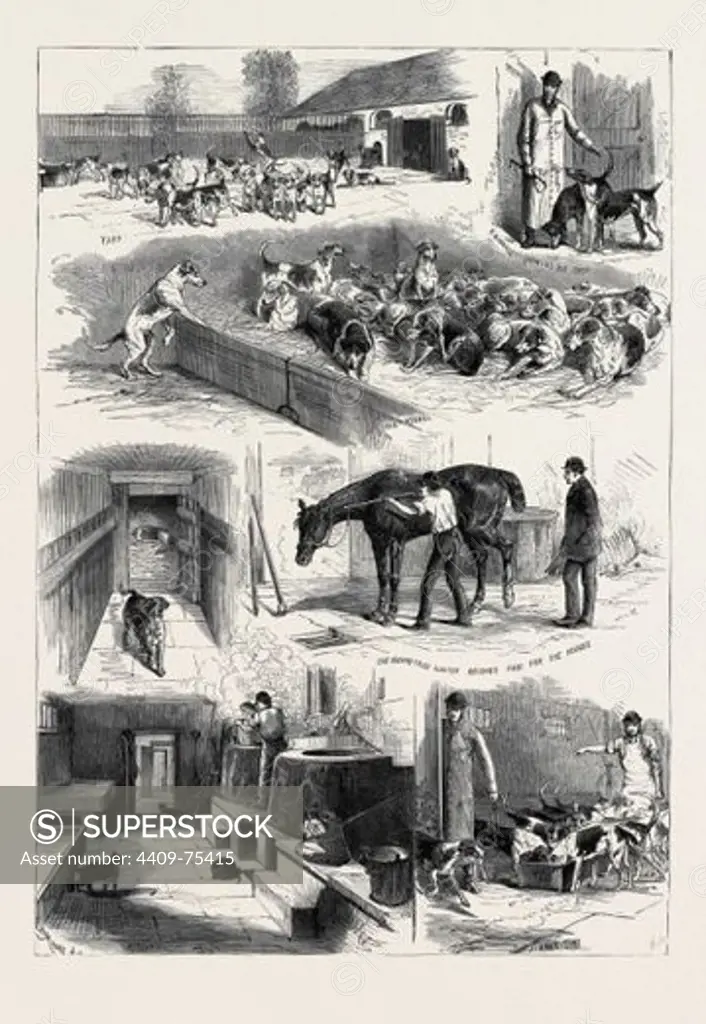 THE ROYAL BUCKHOUNDS: THE KENNELS AT ASCOT, 1880.