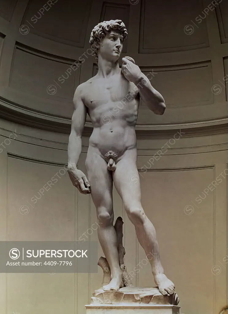 DAVID 1501-1504 - RENACIMIENTO ITALIANO. Author: Michelangelo. Location: GALERIA DE LA ACADEMIA. Florenz. ITALIA. DAVID REY SIGLO XI AC.