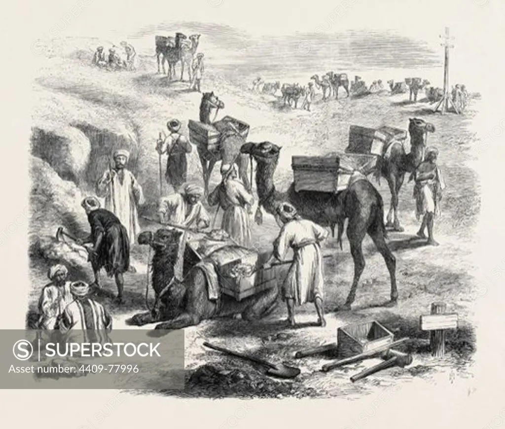 THE ISTHMUS OF SUEZ MARITIME CANAL: WORKMEN LOADING DROMEDARIES, 1869.