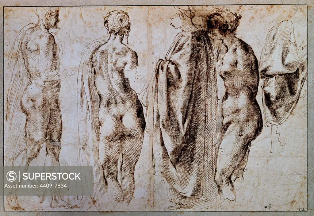 DIBUJO DE DESNUDOS - SIGLO XVI - RENACIMIENTO ITALIANO. Author: Michelangelo. Location: MUSEO CONDE. CHANTILLY. France.