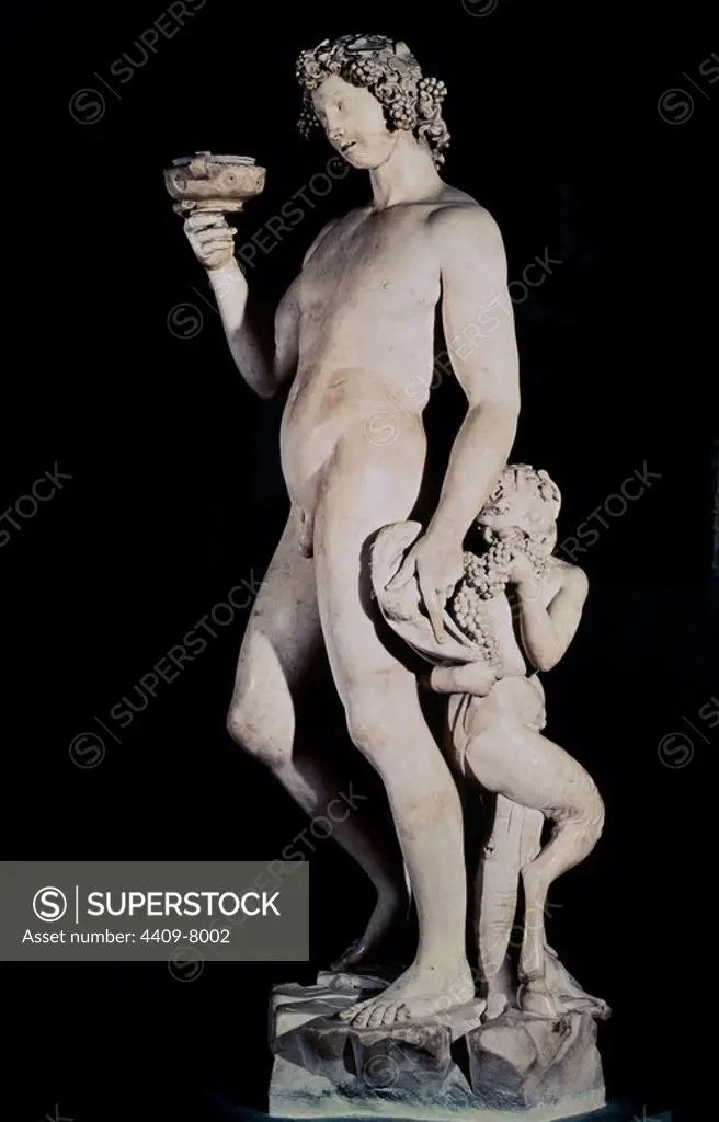 BACO - 1497 - MARMOL - 184 cm - RENACIMIENTO ITALIANO. Author: Michelangelo. Location: MUSEO DEL BARGELLO. Florenz. ITALIA. BACCHUS. SATYR.