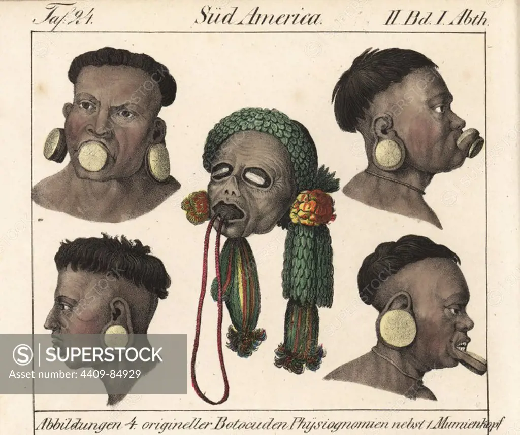 Four heads of Botocudo men from Eastern Brazil, South America, with their distinctive wooden disks in lips and ears. Mummified head of a Botocudo man. Handcoloured lithograph from Friedrich Wilhelm Goedsche's "Vollstaendige Völkergallerie in getreuen Abbildungen" (Complete Gallery of Peoples in True Pictures), Meissen, circa 1835-1840. Goedsche (1785-1863) was a German writer, bookseller and publisher in Meissen. Many of the illustrations were adapted from Bertuch's "Bilderbuch fur Kinder" and others.
