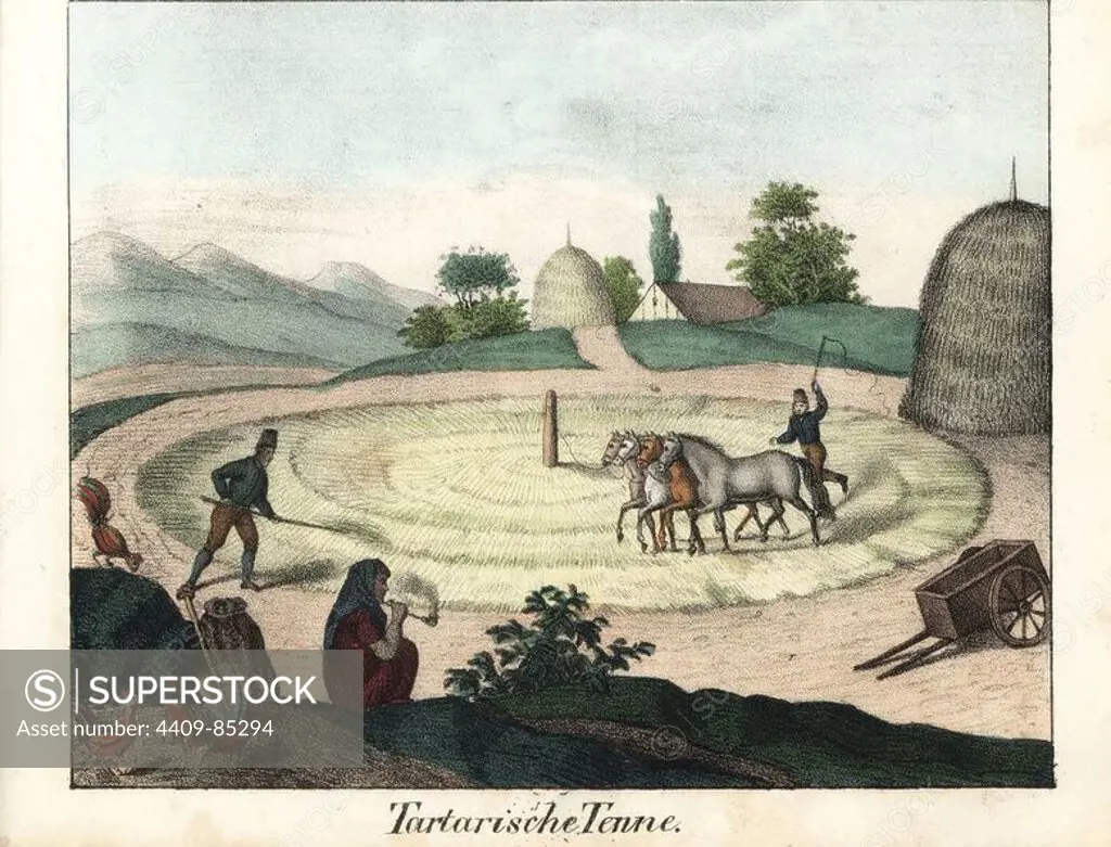 Tatar farmers threshing grain with a team of horses in front of farms, haystacks and the Caucasus mountains. Handcoloured lithograph from Friedrich Wilhelm Goedsche's "Vollstaendige Völkergallerie in getreuen Abbildungen" (Complete Gallery of Peoples in True Pictures), Meissen, circa 1835-1840. Goedsche (1785-1863) was a German writer, bookseller and publisher in Meissen. Many of the illustrations were adapted from Bertuch's "Bilderbuch fur Kinder" and others.