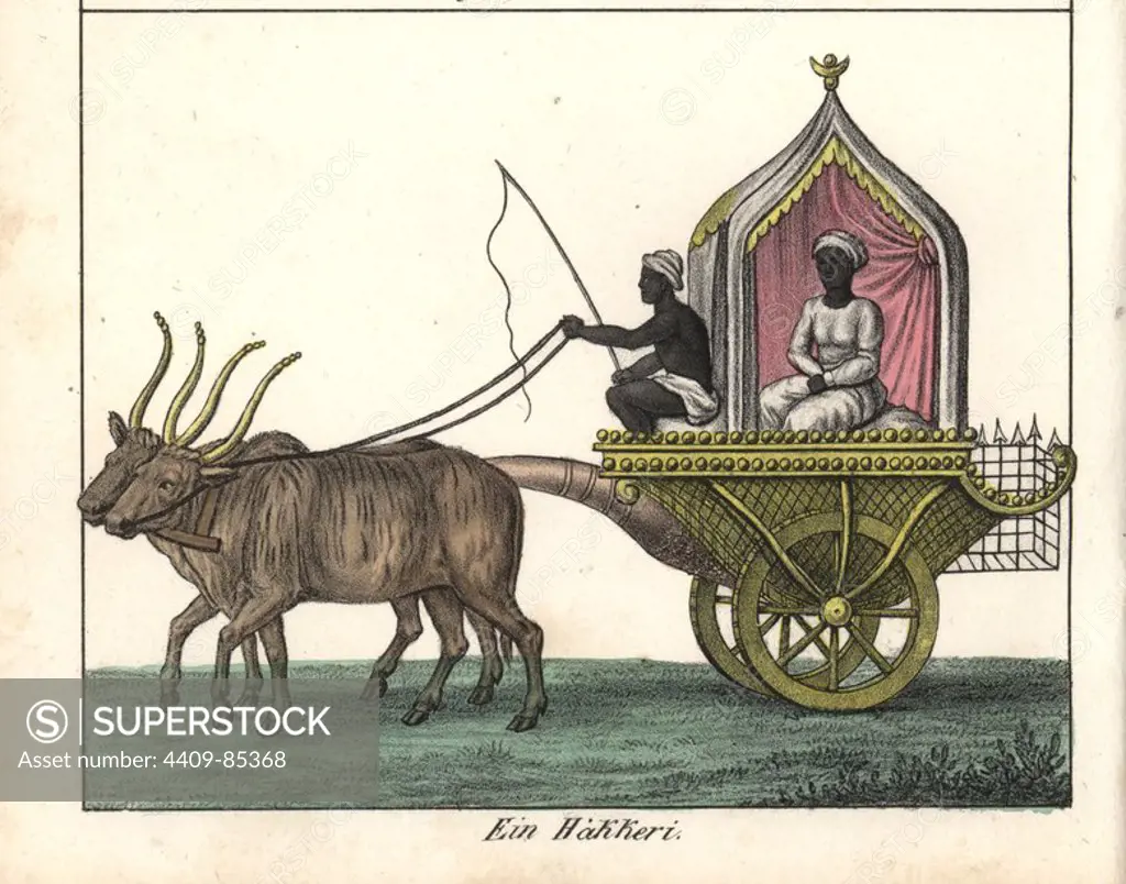 Indian festival carriage driven by bulls. Handcoloured lithograph from Friedrich Wilhelm Goedsche's "Vollstaendige Völkergallerie in getreuen Abbildungen" (Complete Gallery of Peoples in True Pictures), Meissen, circa 1835-1840. Goedsche (1785-1863) was a German writer, bookseller and publisher in Meissen. Many of the illustrations were adapted from Bertuch's "Bilderbuch fur Kinder" and others.