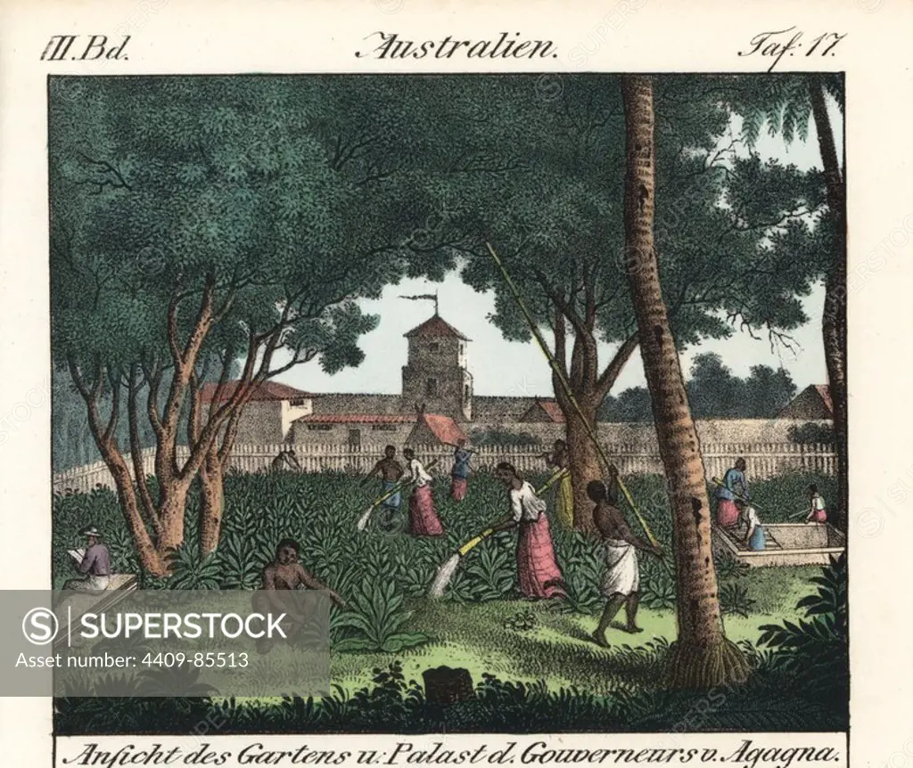 View of Chamorro natives working in the gardens of the Spanish Governor's Palace, Agagna, Guam. Handcoloured lithograph from Friedrich Wilhelm Goedsche's "Vollstaendige Völkergallerie in getreuen Abbildungen" (Complete Gallery of Peoples in True Pictures), Meissen, circa 1835-1840. Goedsche (1785-1863) was a German writer, bookseller and publisher in Meissen. Illustration from Freycinet's "Voyage autour du monde," 1824.