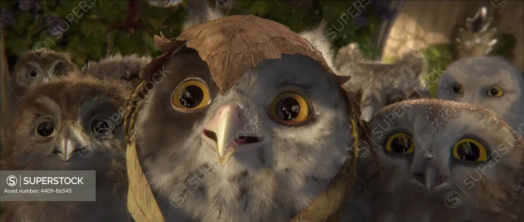 LEGEND OF THE GUARDIANS: THE OWLS OF GA'HOOLE (2010), directed by ZACK SNYDER.