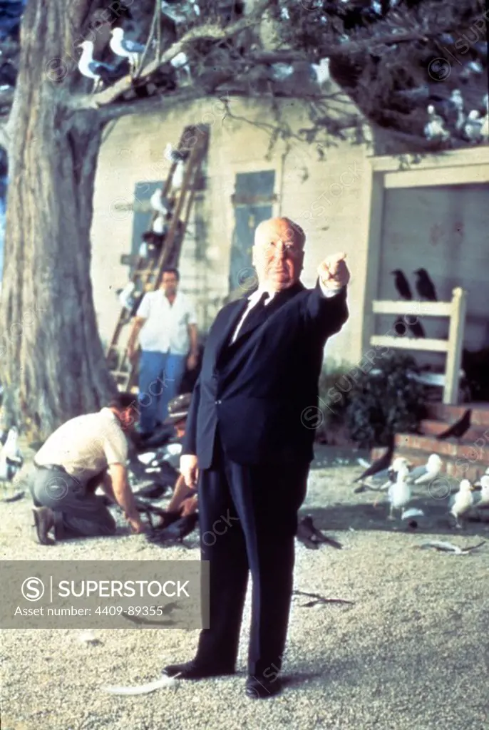 ALFRED HITCHCOCK in THE BIRDS (1963), directed by ALFRED HITCHCOCK.