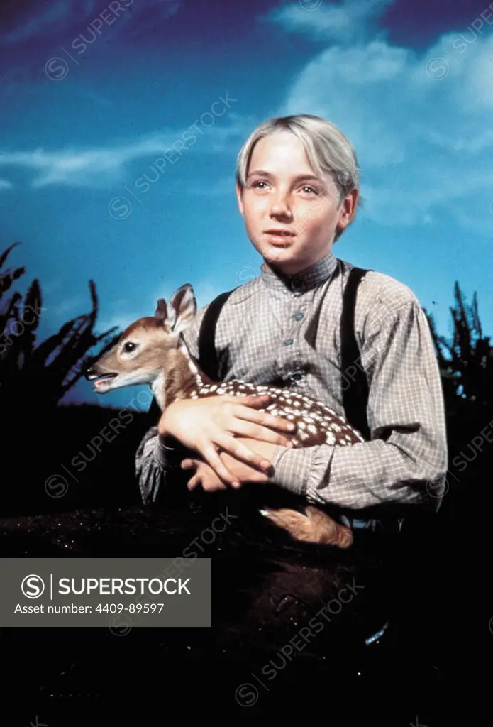 CLAUDE JARMAN JR. in THE YEARLING (1946), directed by CLARENCE BROWN.