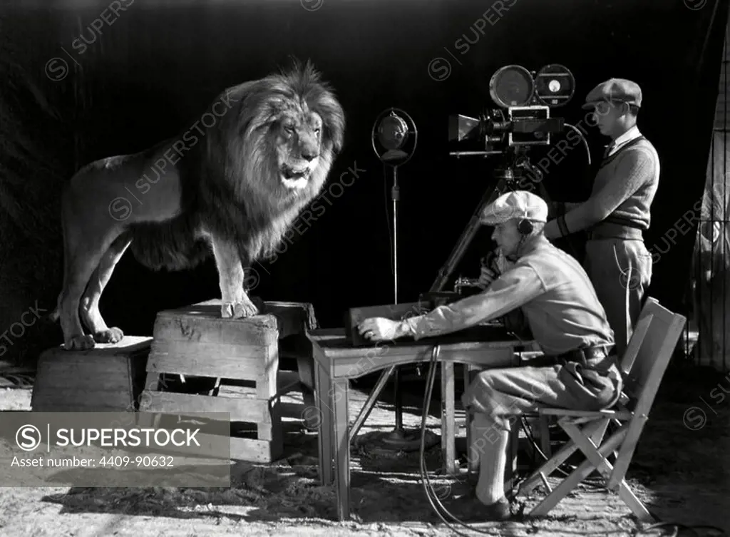 FILM HISTORY: M. G. M. Shooting of the logo for the Metro Goldwyn Mayer.