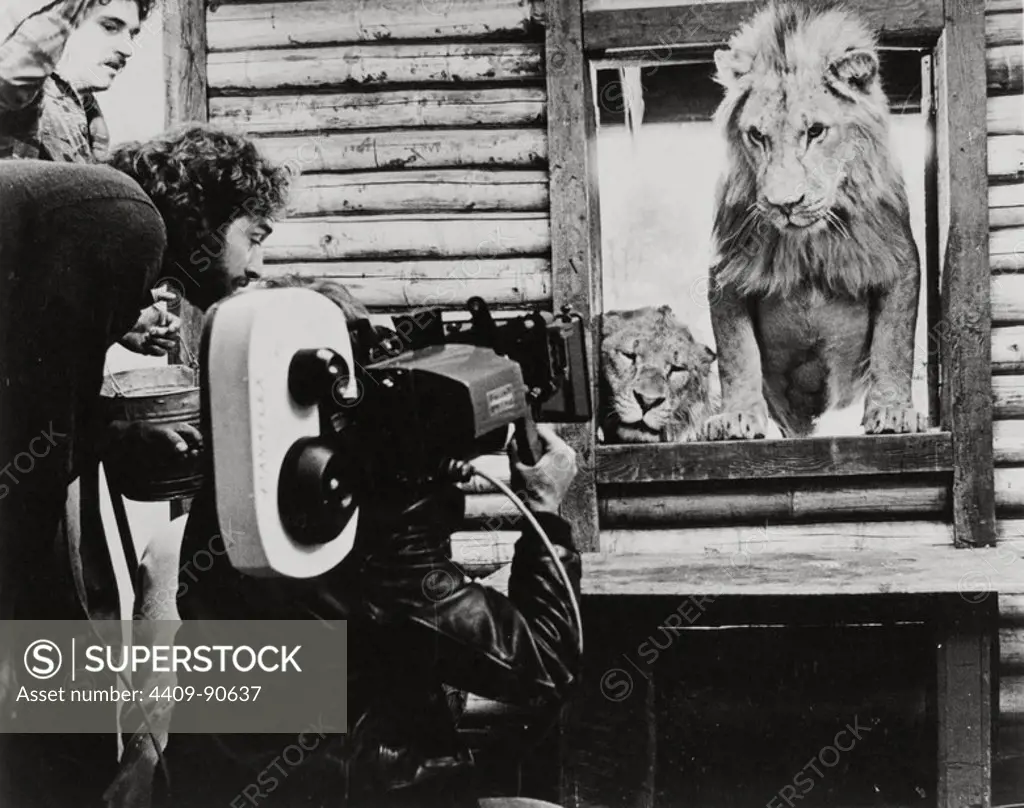 FILM HISTORY: RODAJES. Lions filmed.