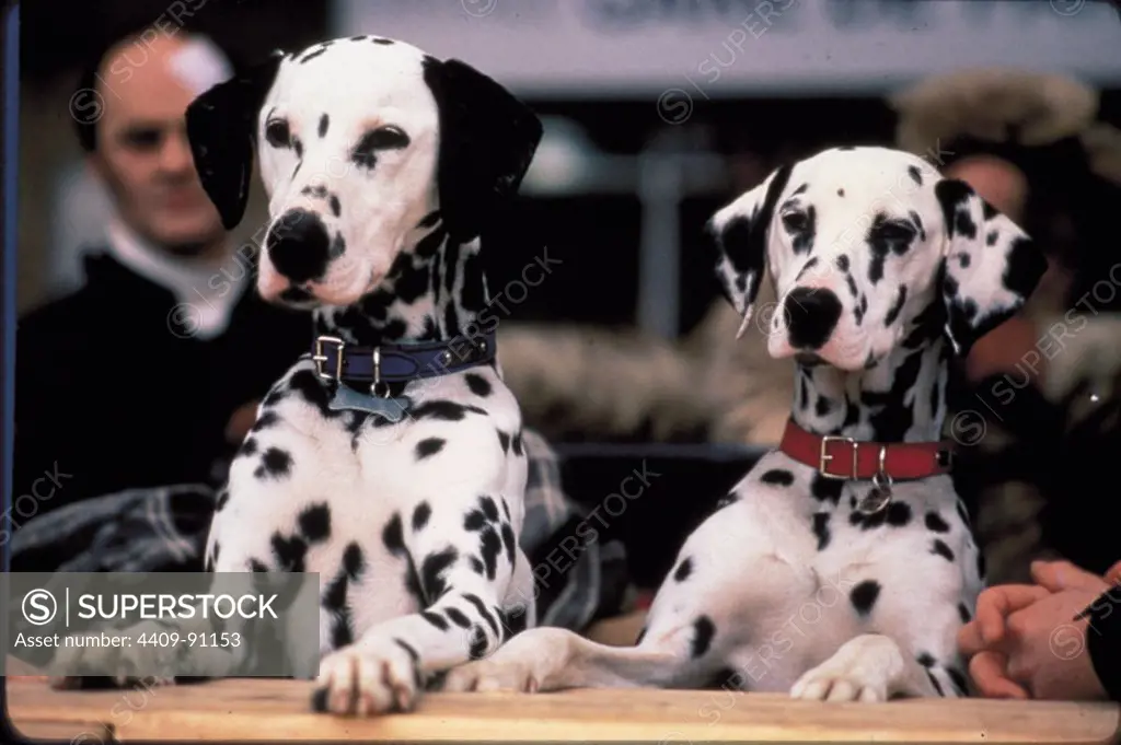 102 DALMATIANS (2000), directed by KEVIN LIMA.