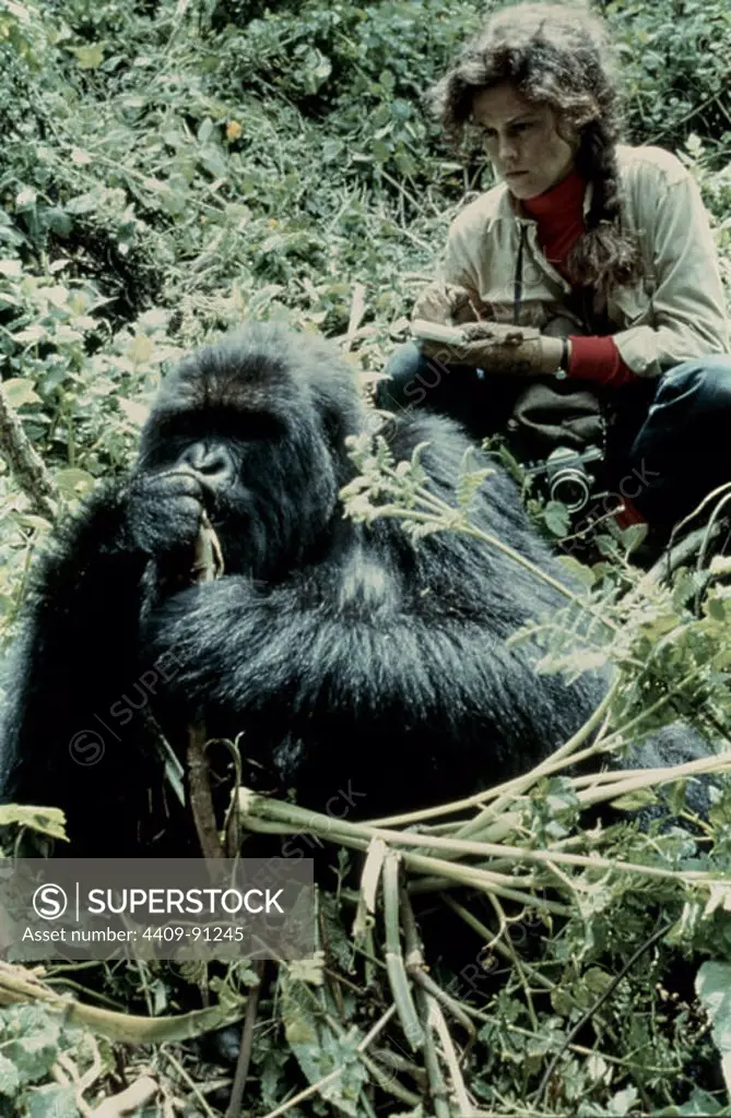 SIGOURNEY WEAVER in GORILLAS IN THE MIST: THE STORY OF DIAN FOSSEY (1988), directed by MICHAEL APTED.