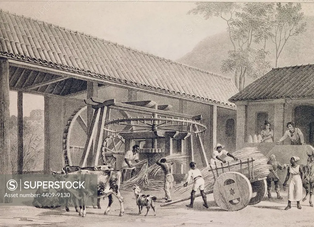 A sugar mill in Brazil. Lithography published by Engelmann. Madrid, private collection. Author: DEROI / ARNOUT. Location: PRIVATE COLLECTION. MADRID. SPAIN.