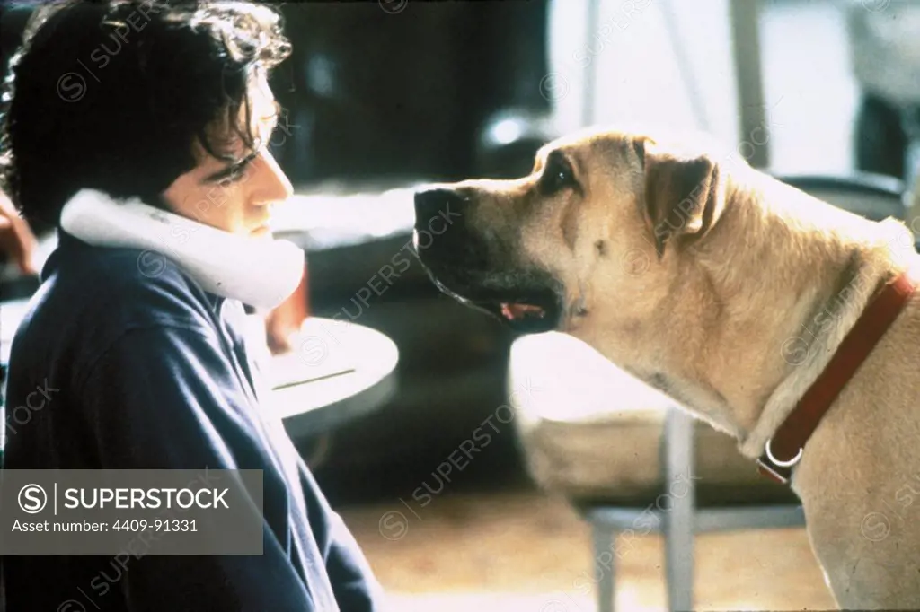 BEN CHAPLIN in THE TRUTH ABOUT CATS & DOGS (1996), directed by MICHAEL LEHMANN.