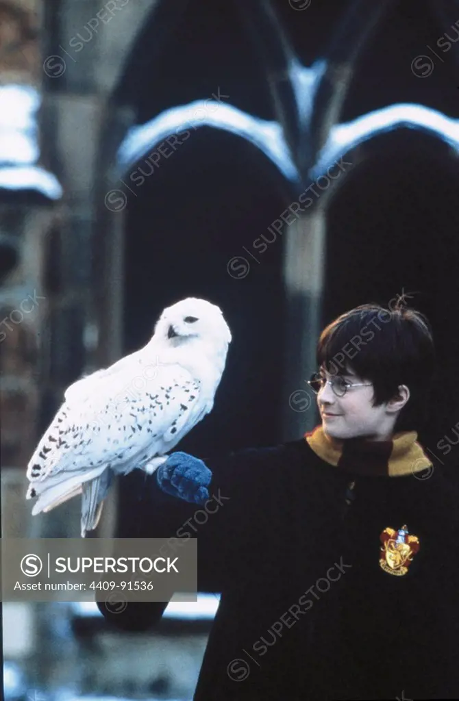 DANIEL RADCLIFFE in HARRY POTTER AND THE SORCERER'S STONE (2001), directed by CHRIS COLUMBUS.