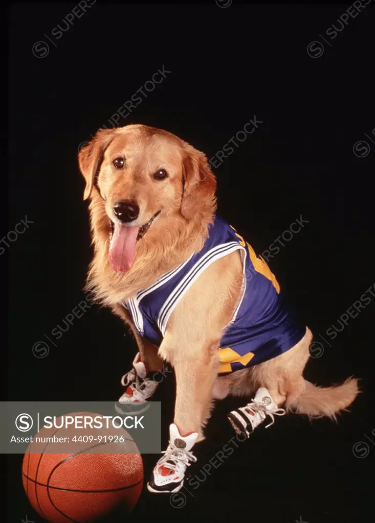 AIR BUD (1997), directed by CHARLES MARTIN SMITH.